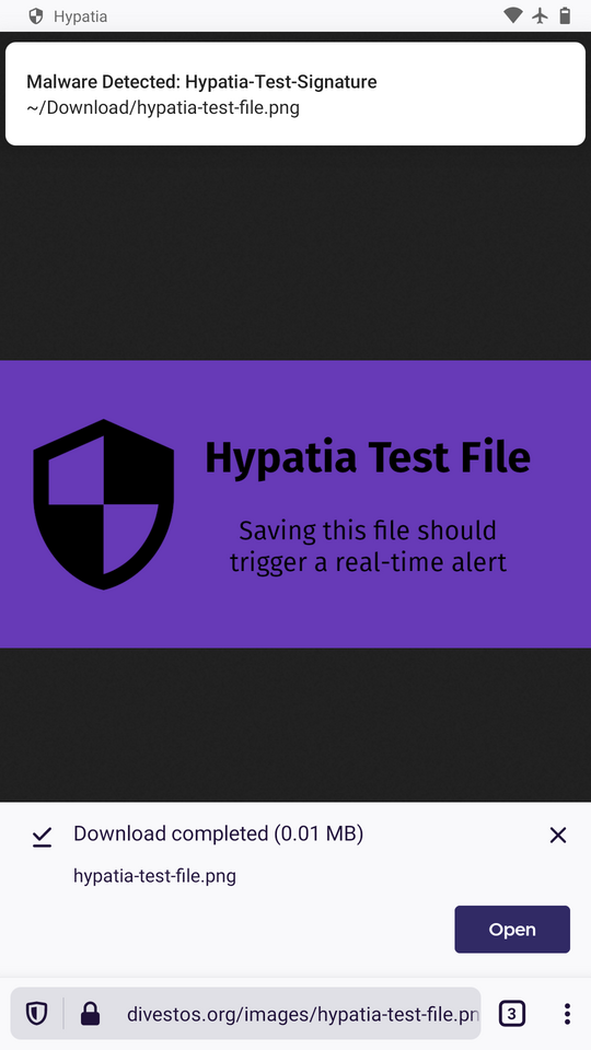 Hypatia扫描结果和威胁检测界面