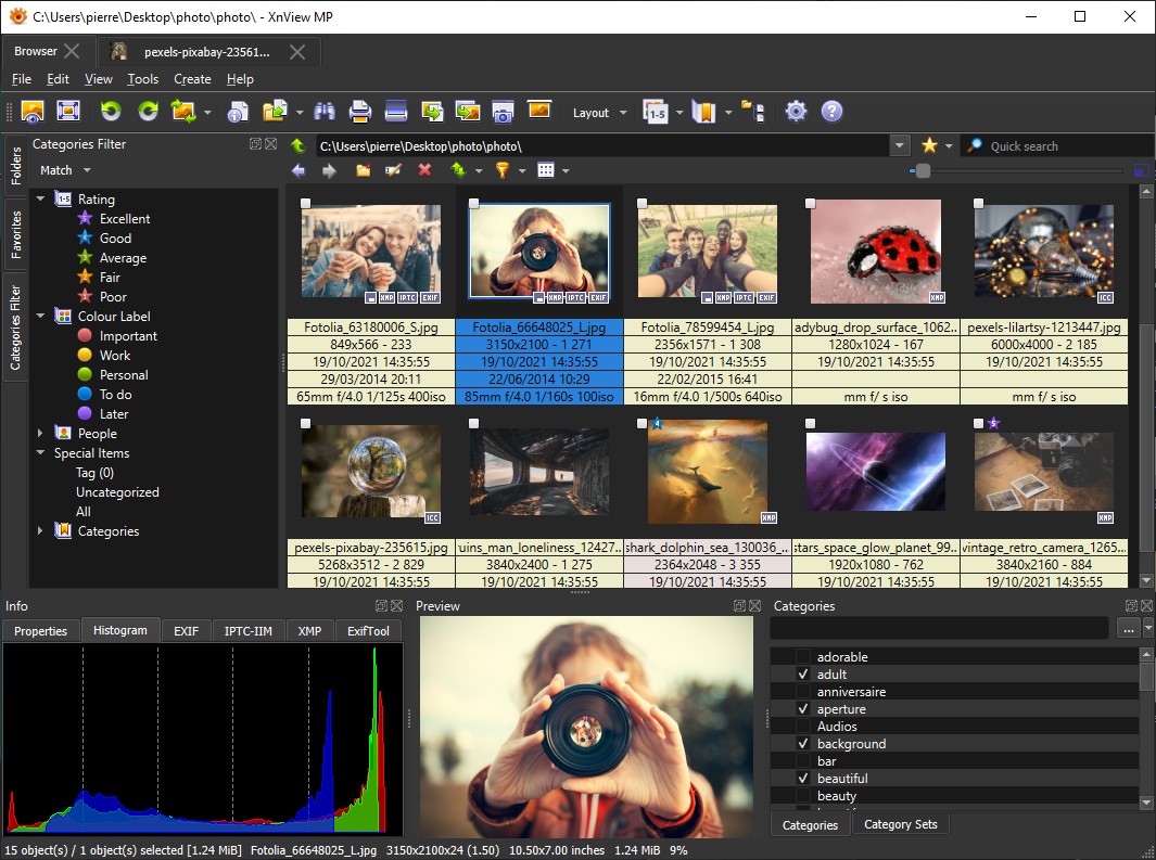 XnView MP v1.12.2 Windows图片管理工具截图